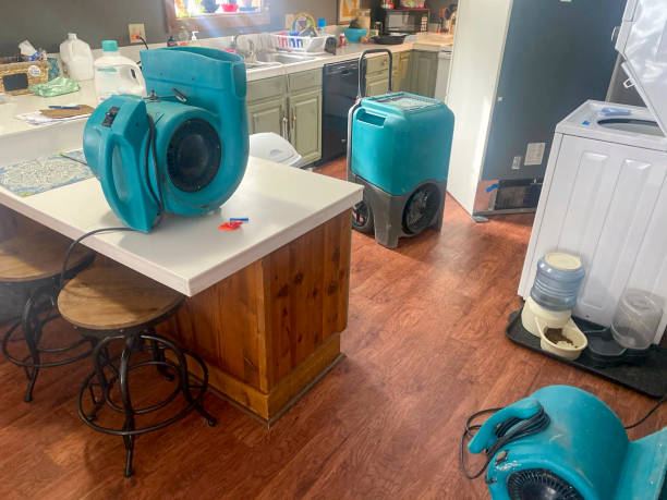 Best Local water damage restoration  in Victory Gardens, NJ