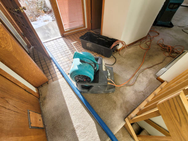 Best Local water damage restoration  in Victory Gardens, NJ