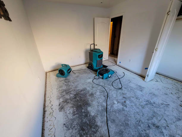 Best Mold removal after water damage  in Victory Gardens, NJ