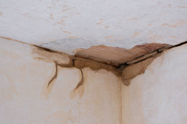  Victory Gardens, NJ Water damage restoration Pros