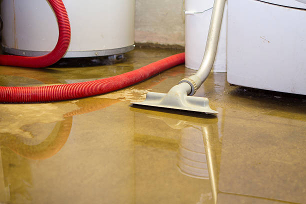 Best Professional water damage repair  in Victory Gardens, NJ